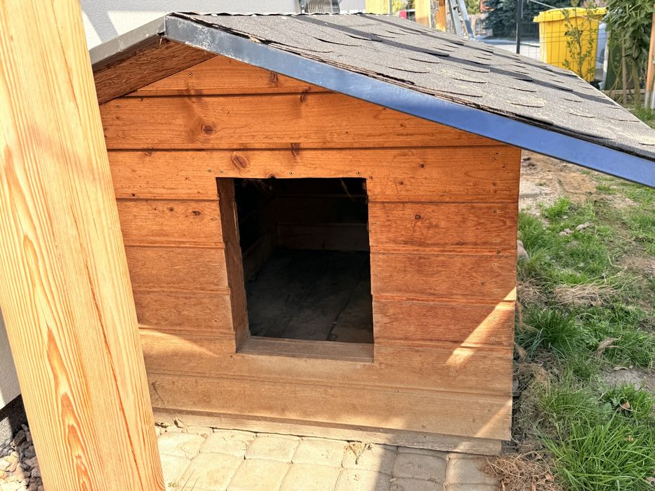 Buda dla duzego owczarek niemiecki