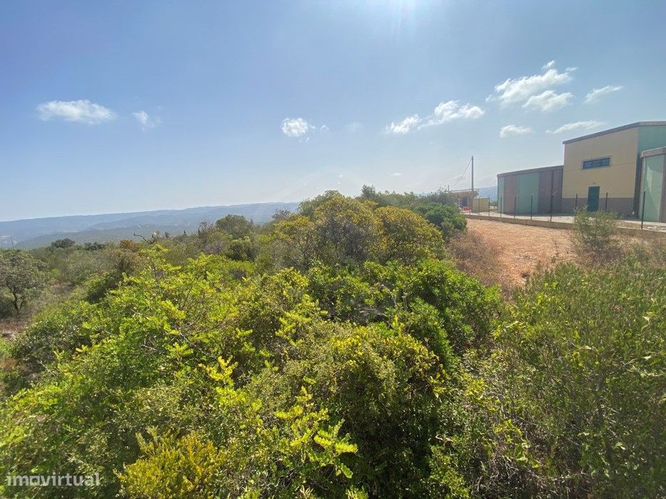 Lote de Terreno Rústico no Serro dos Passarinhos, Loulé, Algarve