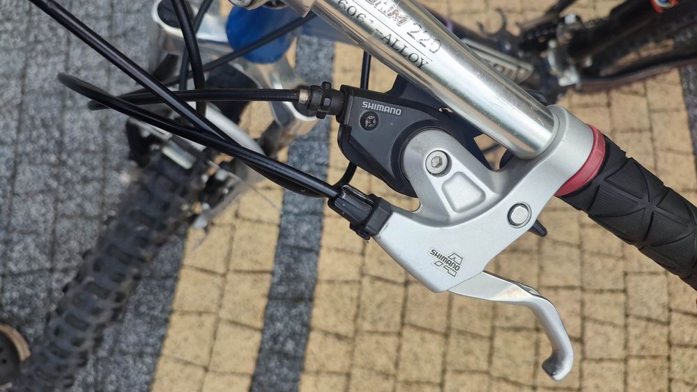 Rower Fenix 19 cali rama