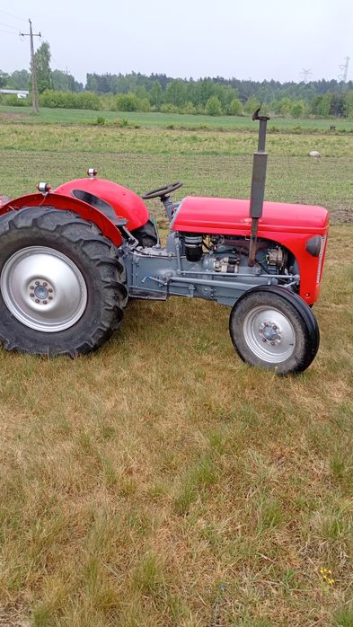 Massey Ferguson tea 30
