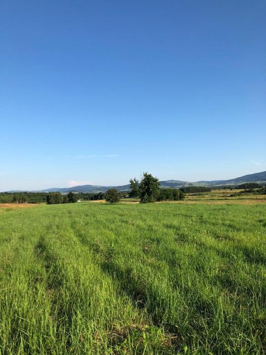 działka budowlana Józefów-Cieklin koło Folusza