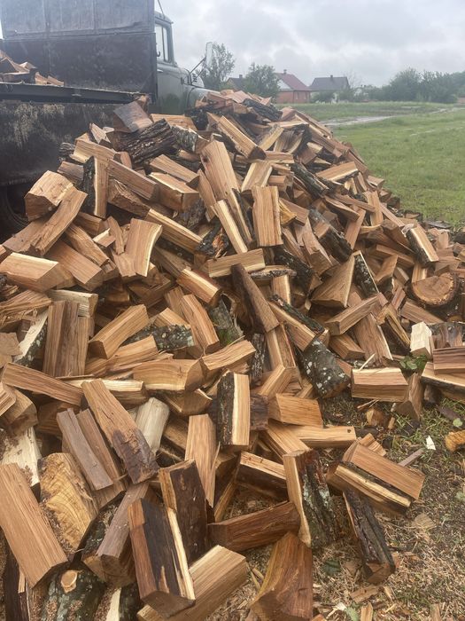 Продам дрова різних порід є доставка