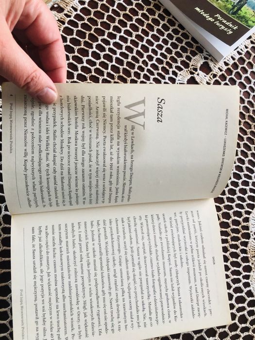 Łukaszenko. Dyktator w kołchozie Białoruś - M. Kacenko