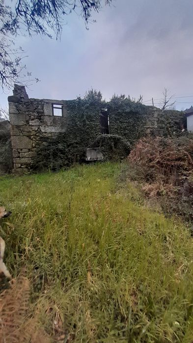 Terreno rustico- celorico de basto