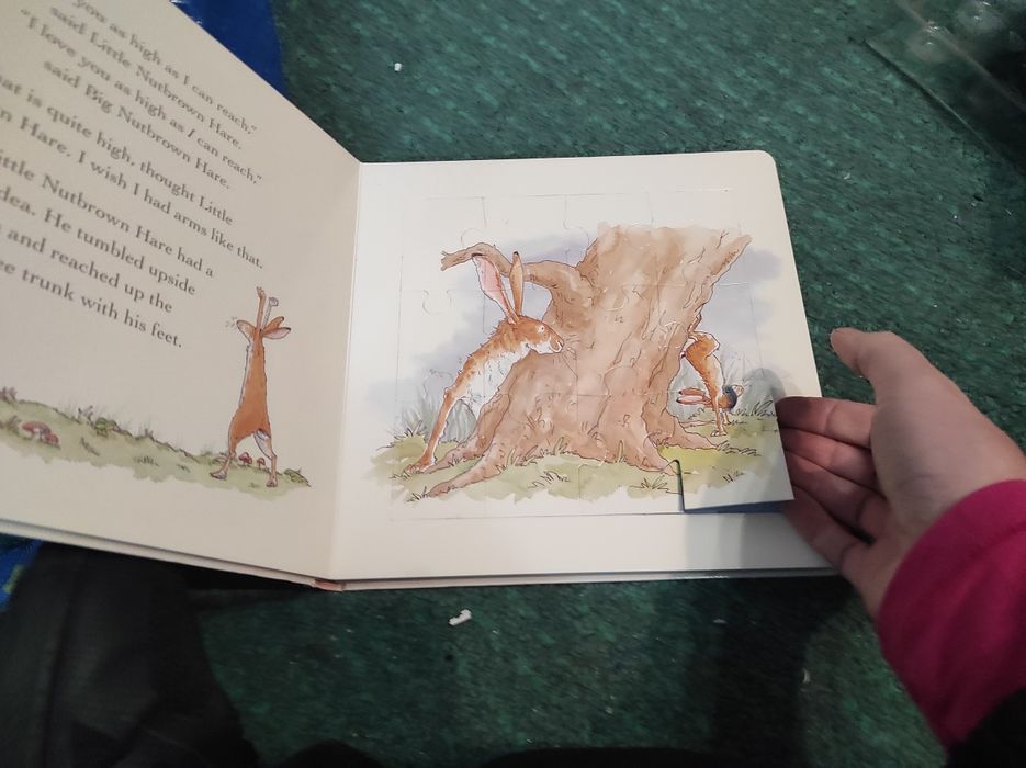 Puzzle book Guess...