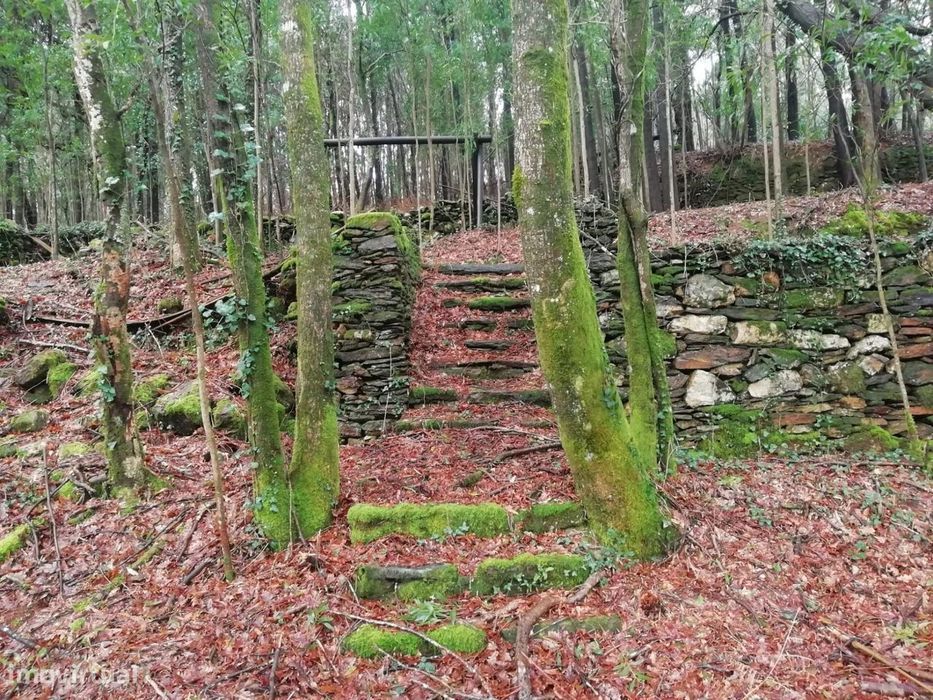 Investment Opportunity Vale do Âncora com Frente de Rio – Gondar e Orb
