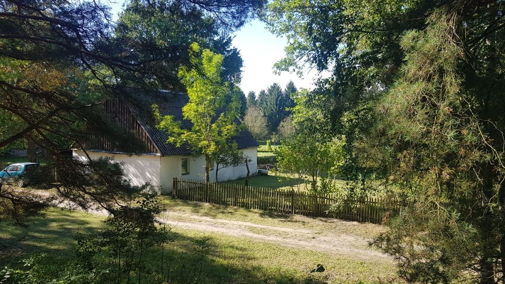 Stare gospodarstwo