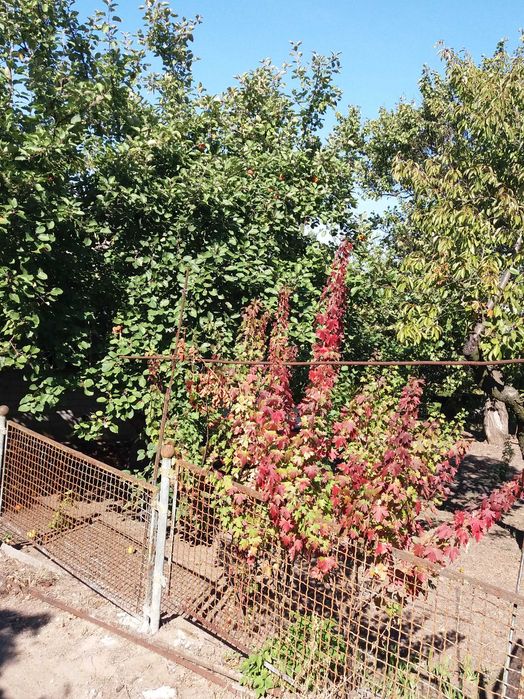 продажа дачи на  Великом Лугу Запорожье