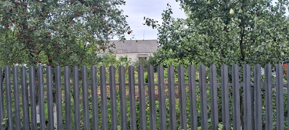 Продається будинок в с. Конюшки