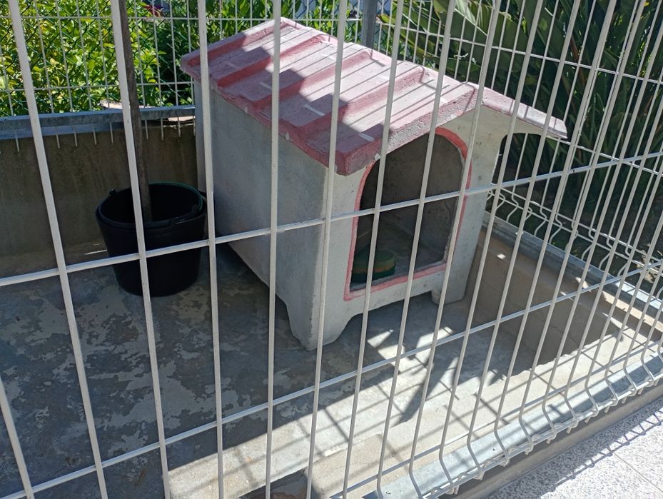 2 casotas de cão
