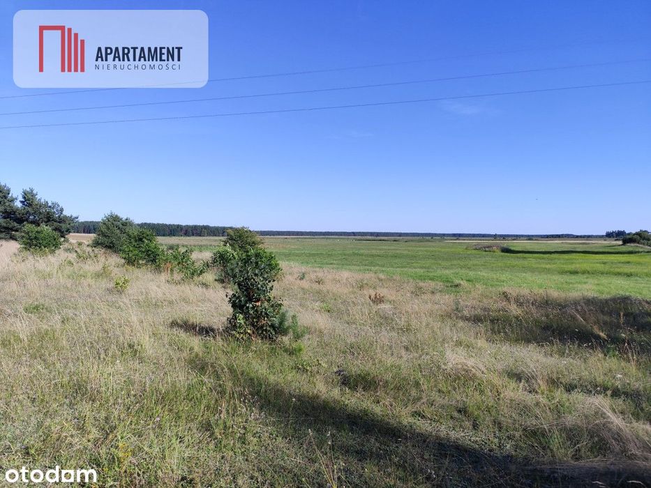 Tylko u Nas! Działka rolna o pow. 3,35 ha.