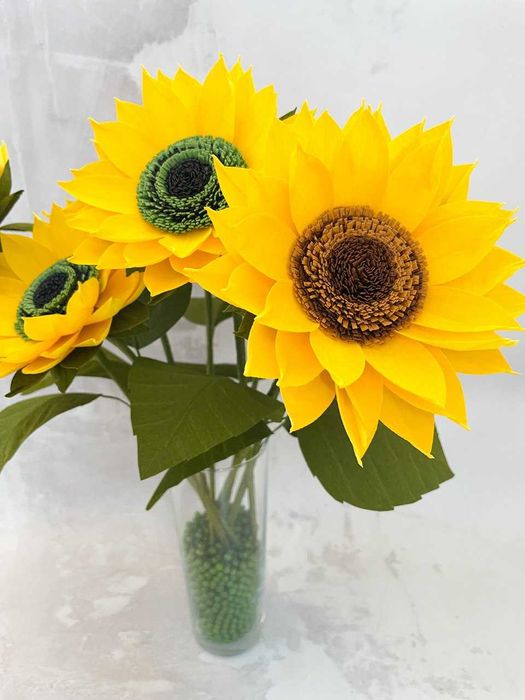 Słonecznik (rozmiar M)