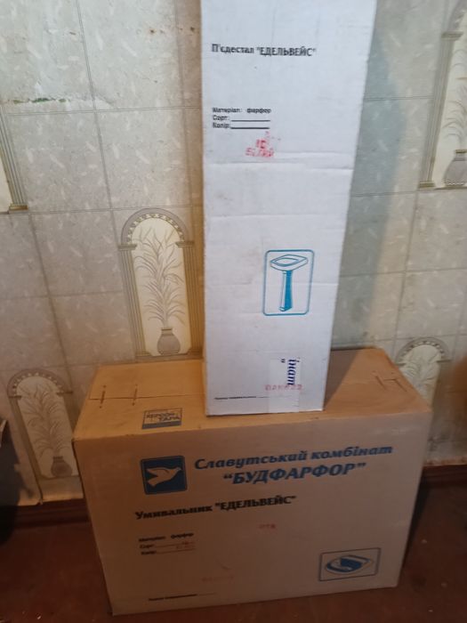 Рукомийник тюльпан