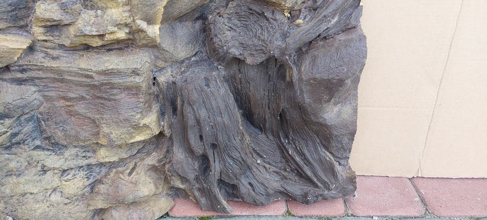 Tło strukturalne amazonka