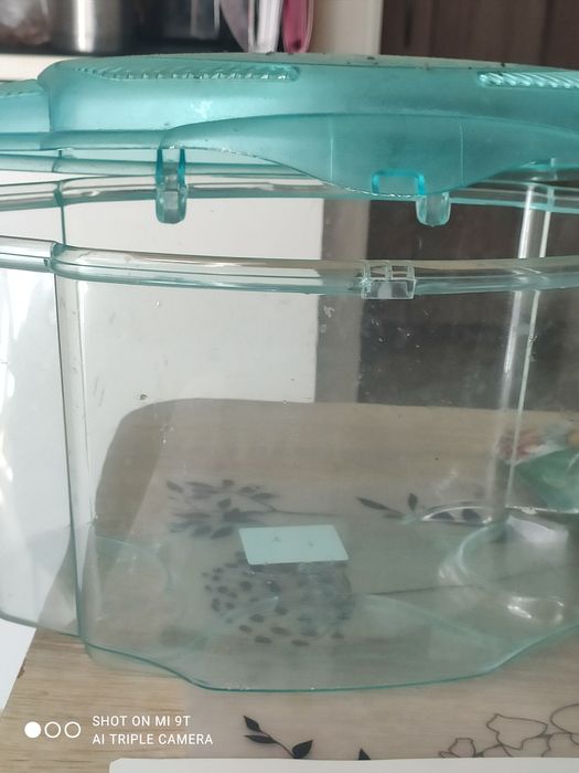 Пластиковий тераріум 28х18х20