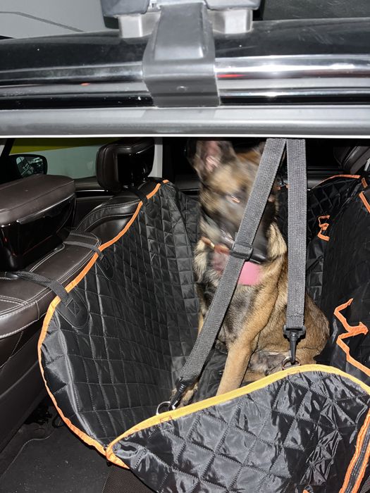 Capa Carro para Cão