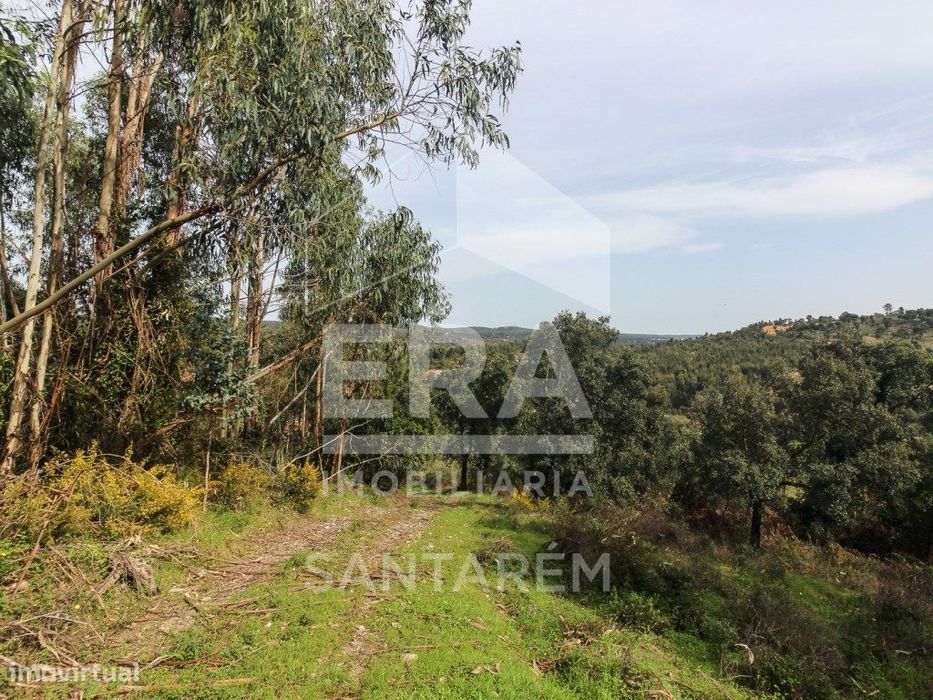 Terreno com cerca de 1 Hectare