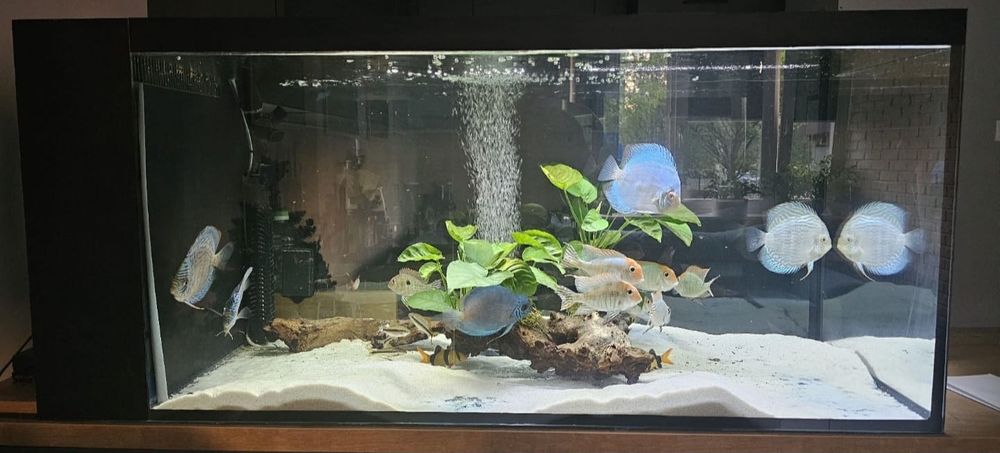 Sprzedam akwarium 480 litrów