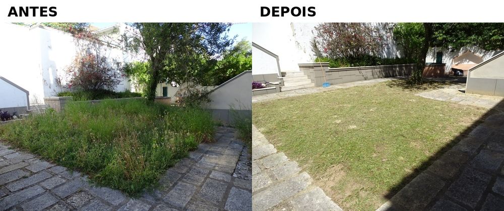 Limpeza de quintais,  logradouro e terrenos em Lisboa