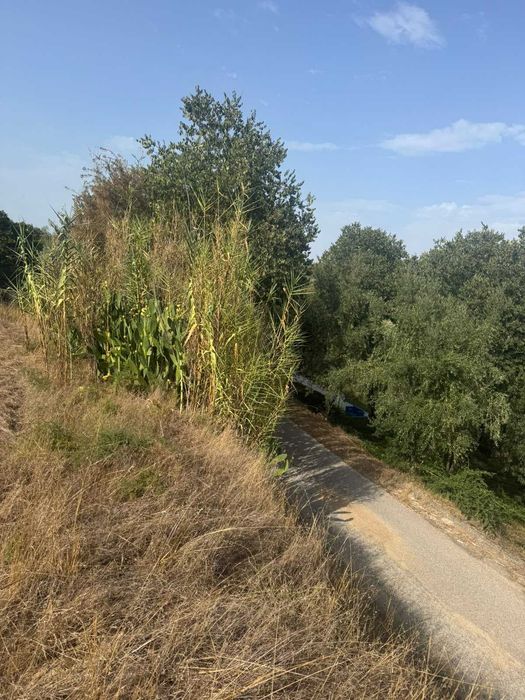 Terreno Misto com Ruina para construção