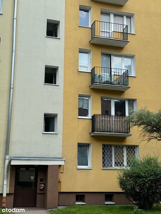 bezpośrednio M-2 z widną oddzielną kuchnią dla studenta/ki i nie tylko