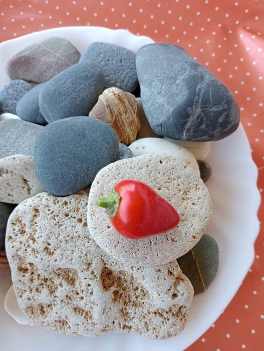 Pimenta Multicolor Boliviana