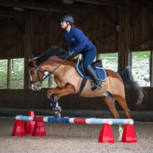 Stojak do przeszkód PYLONETTI do skoków DLA KONIA KONI CAVALETTI