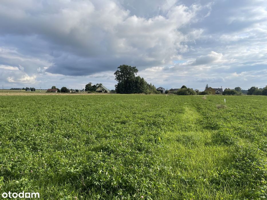 Budowlane-MPZP. Na nowo powstającym osiedlu. 5,9km od węzła S17 Górzno - Widok 5