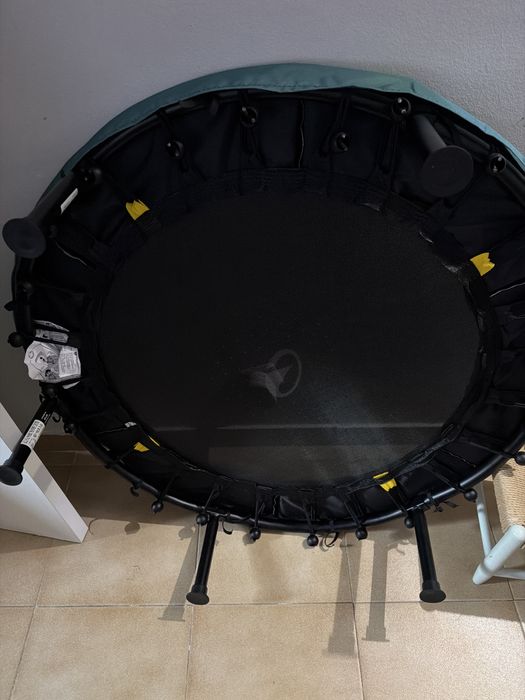 New Trampoline459630449169551361