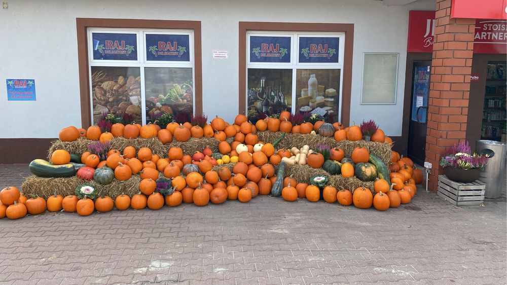 Dynia Halloween jadalna