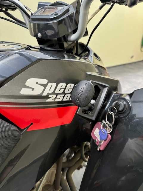 Moto 4 Access Motor 250cc