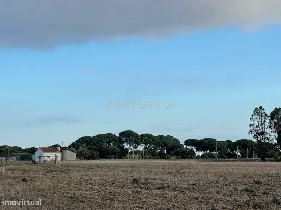 Terreno Rústico com Projeto Aprovado | 5.000 m² | Foros de Salvaterra
