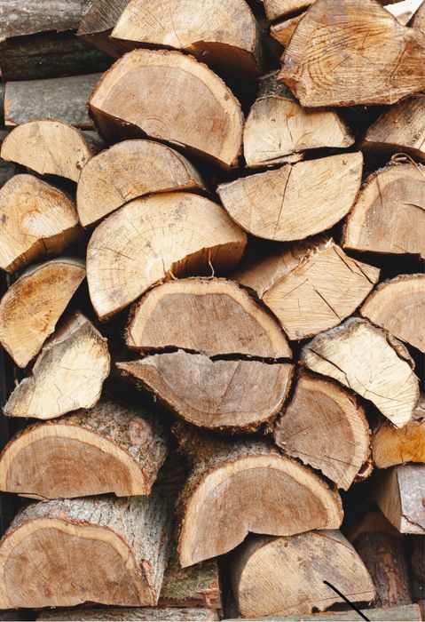Lenha seca para fogueira
