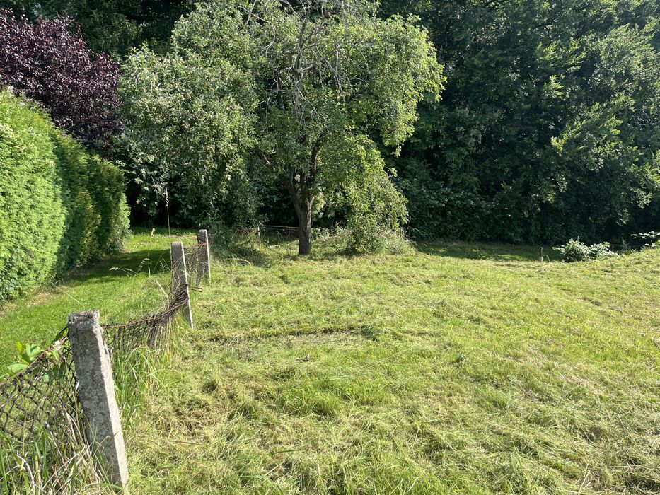 Działka ROD im. Bolesława Chrobrego – pohled 6