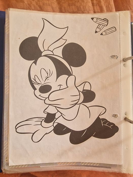 Karteczka A5 Mickey