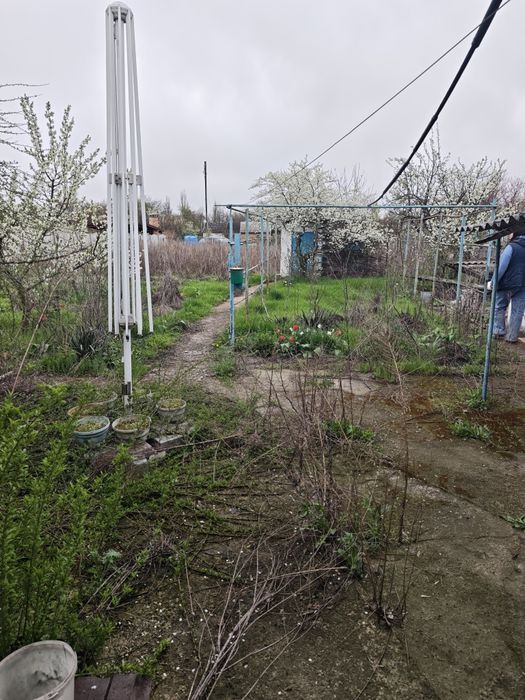 Продам дом  в Березановке