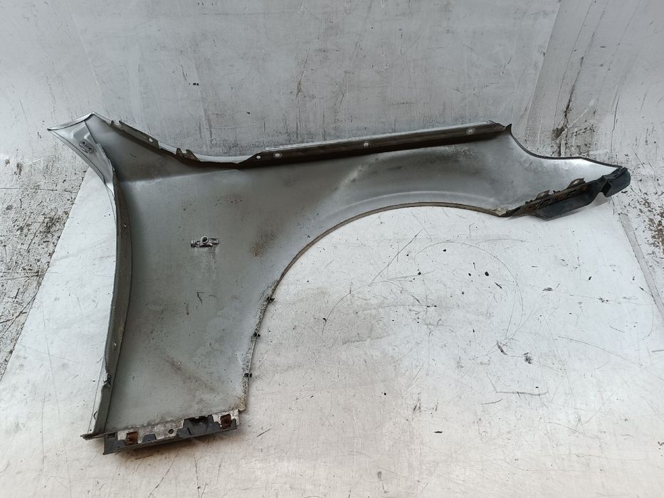 Guarda Lamas Esquerdo - BMW 5 Touring (E61) | 04 - 10