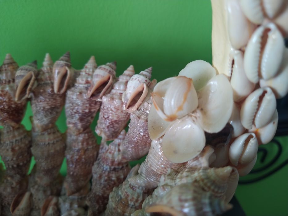 Cesto de búzios e conchas artesanal casa quarto apartamento vivenda.