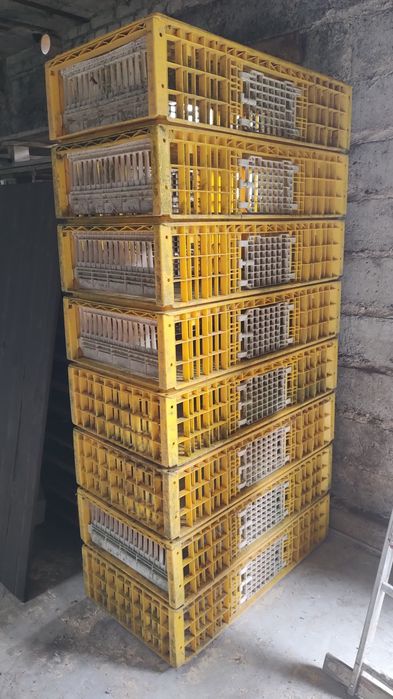 Skrzynki na drób klatki do transportu kur gołębi królików transportery