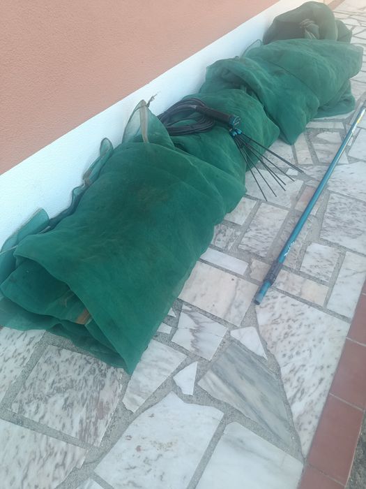 Máquina de azeitonas