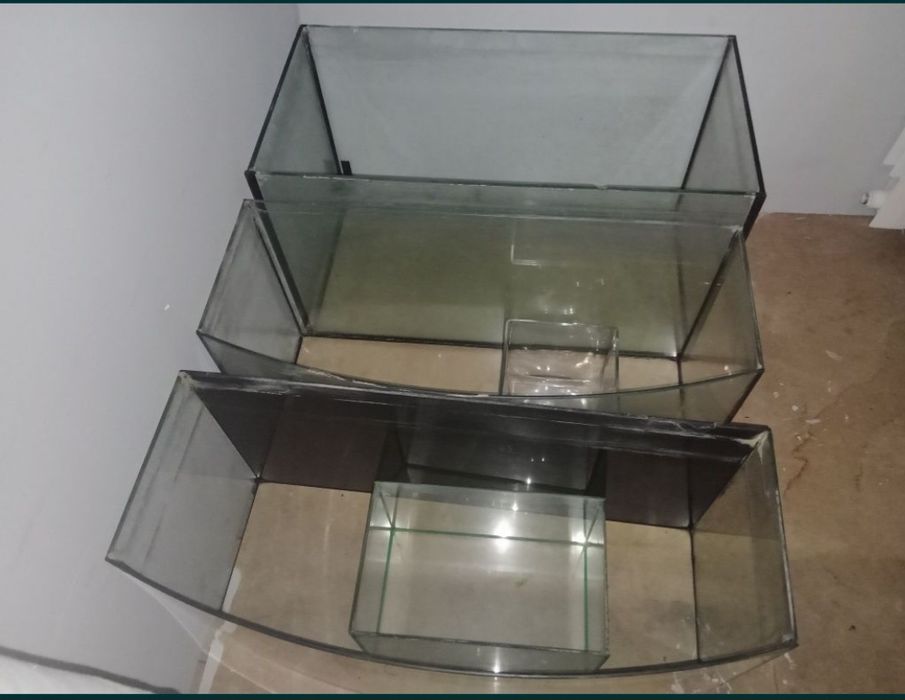 Akwaria plus srzęt gratis