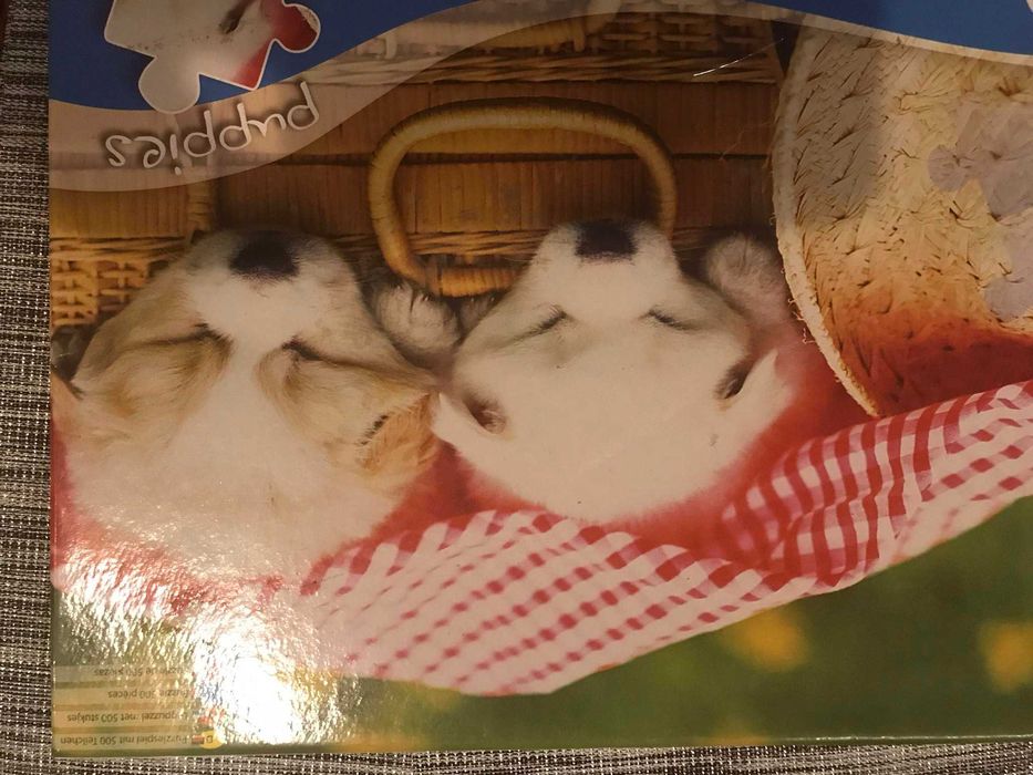 Puzzle Grafix Pieski 500