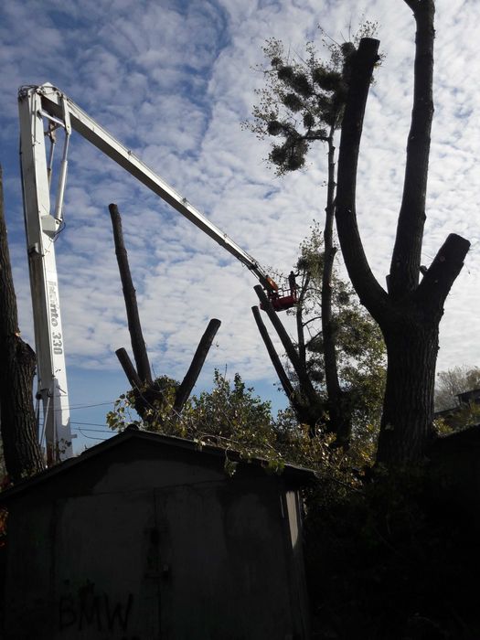 Демонтажні Роботи Демонтаж, розбирання будинків, знесення будівель