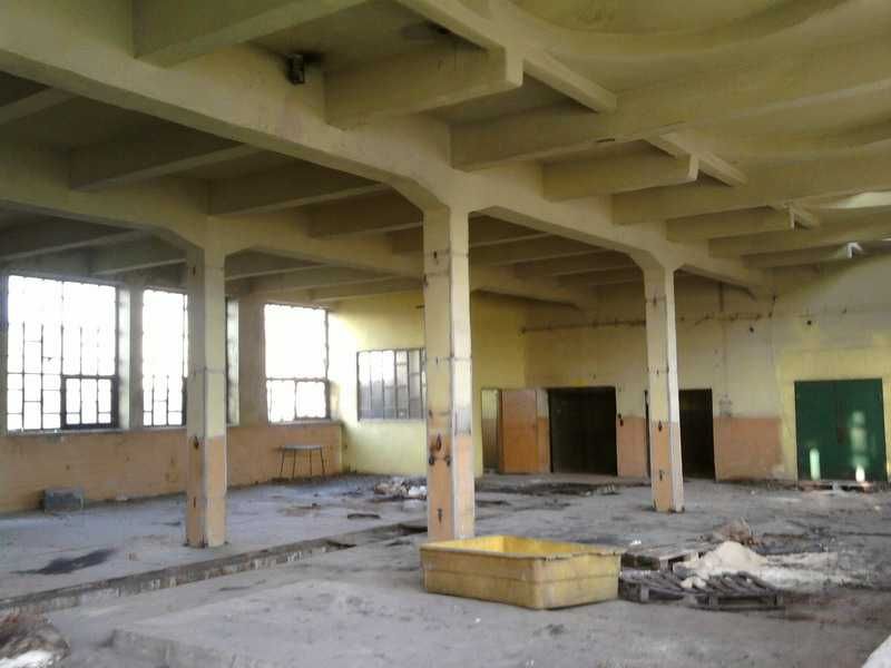 Budynek biurowo-magazynowo-produkcyjny 2400 m² – świetna okazja, Wola Krzysztoporska
