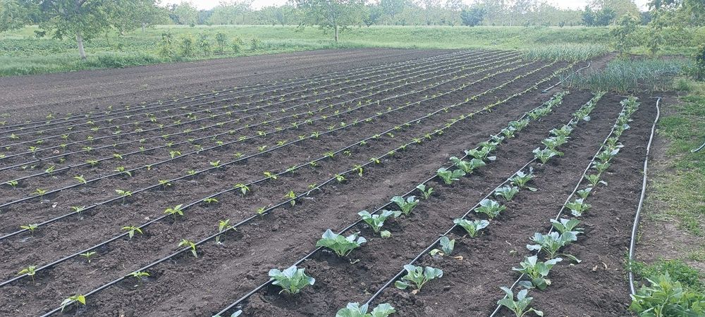 Автоматический полив «под ключ» в Харькове и Харьковской области