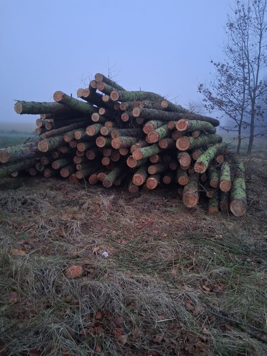 Drewno konstrukcyjne i opałowe