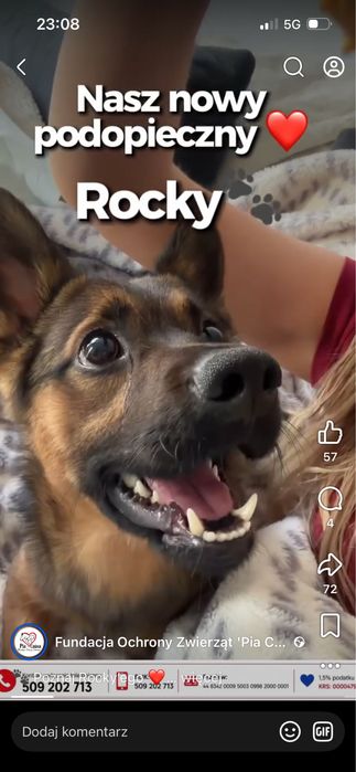 Cudowny Rocky szuka domku