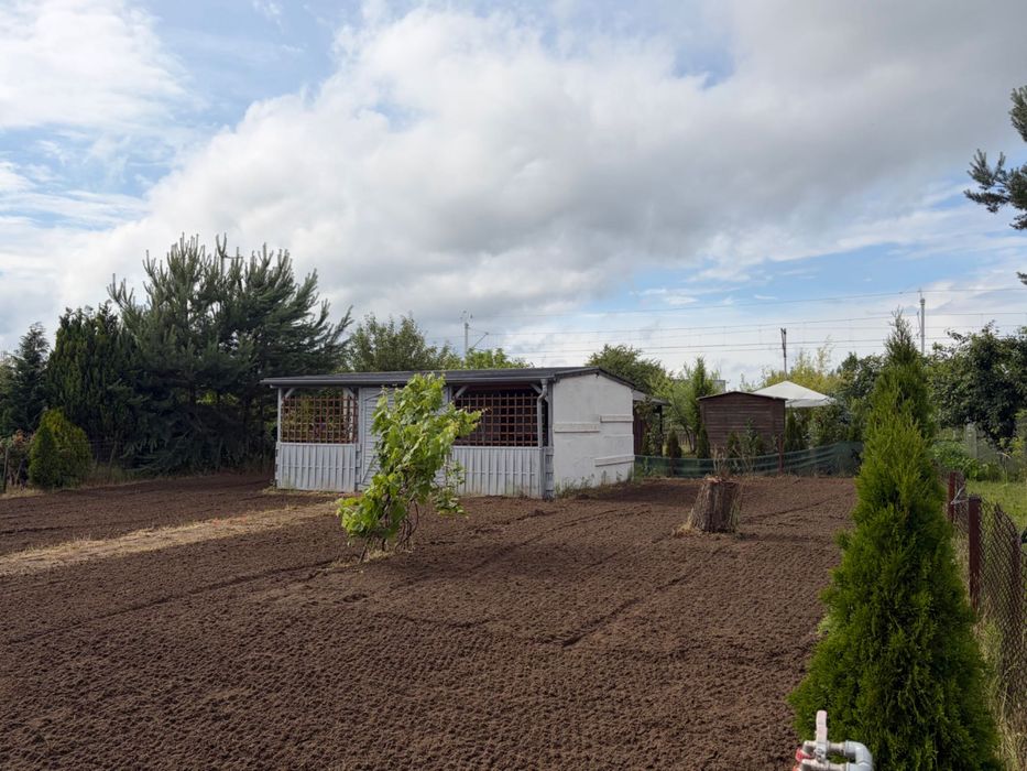 Działka ROD 311 m² Września / Białężyce – pohled 2