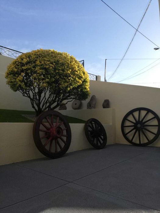 Banco de jardim antigo
