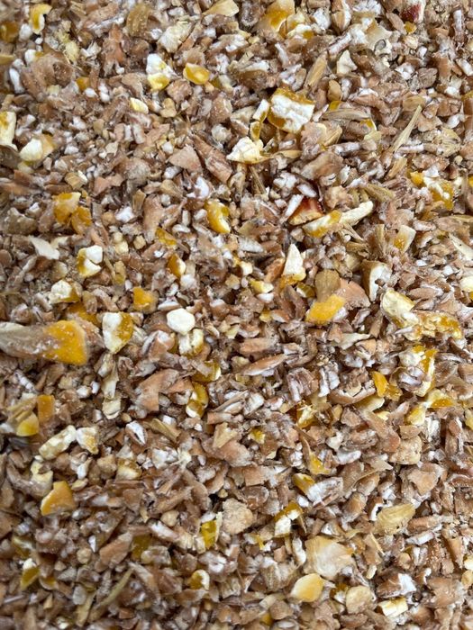 Pasza pełnoporcjowa dla kur niosek